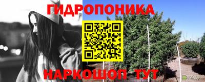 хмурый Апшеронск