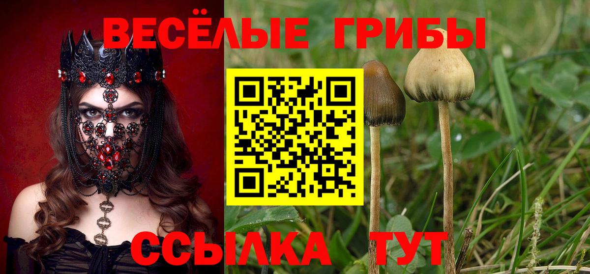 Псилоцибиновые грибы Magic Shrooms Вязники