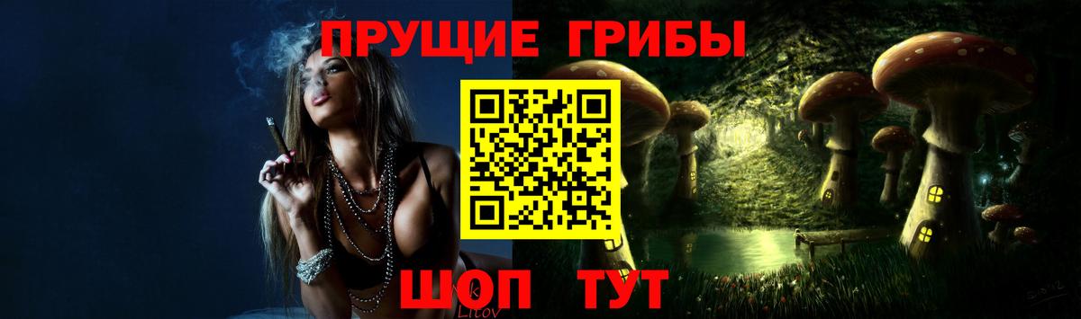 Псилоцибиновые грибы Psilocybe  Вход с VPN  Вязники 
